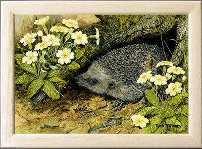 Image of Spring Lookout ~ Hedgehog & Primroses